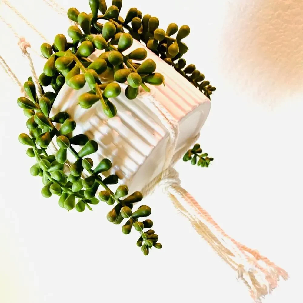 Macrame Faux Plant Planter White Ceramic Etched Pot Accent Decor String Pearls